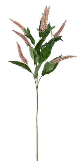 Acacia Cascara Flower Stem Pink x7 84cm