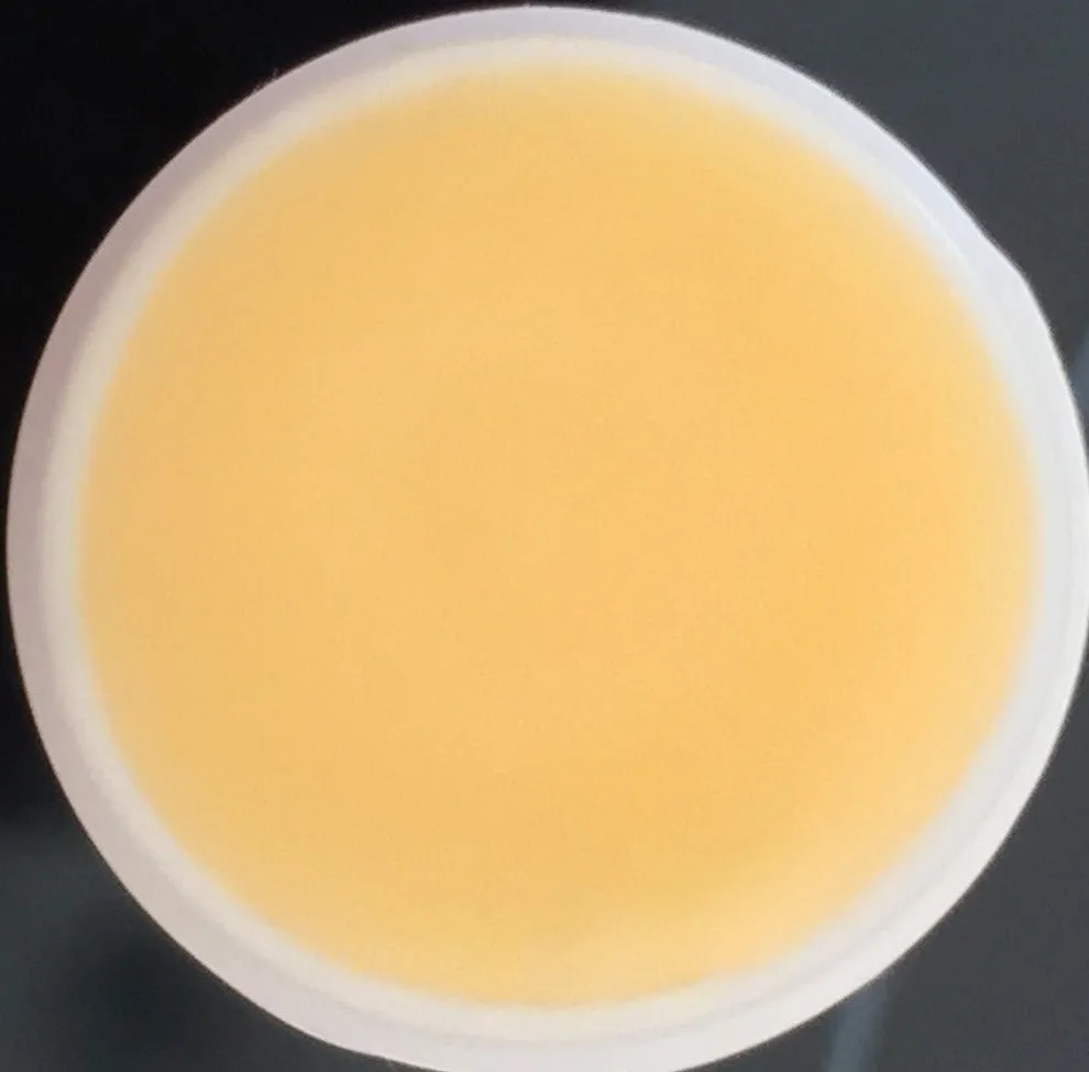 Cake Flavored Lip Balm Kissing Stick