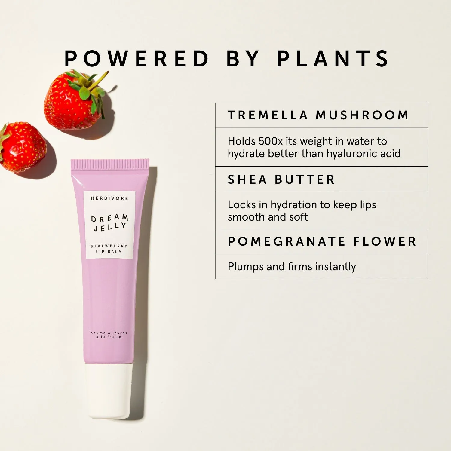 DREAM JELLY Strawberry Lip Balm