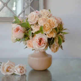 Elegant Symphony