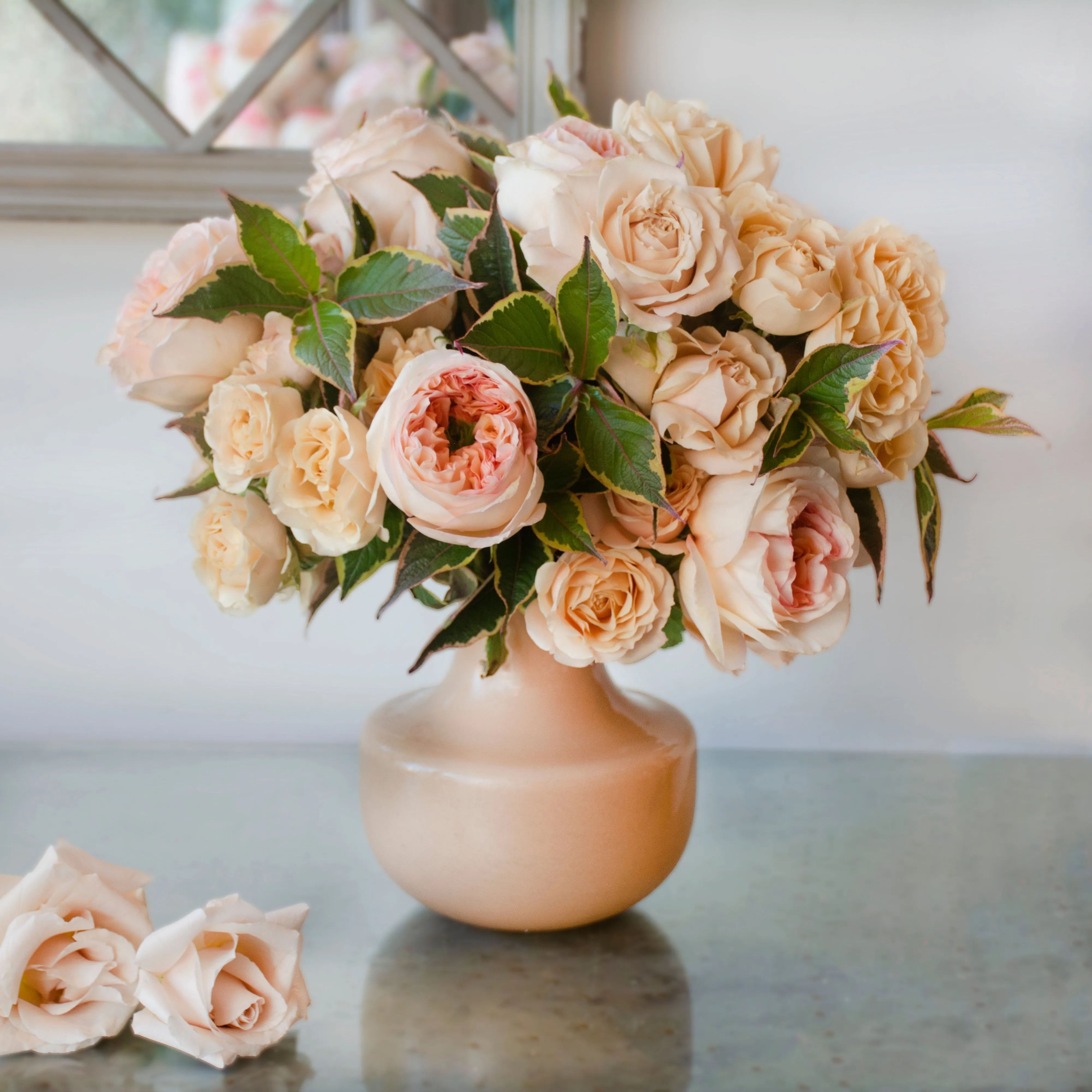 Elegant Symphony