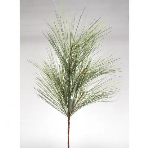 Long Pine Spray