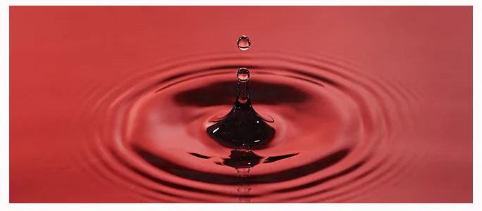 MISSHA Time Revolution Red Algae Revitalizing Serum 40ml