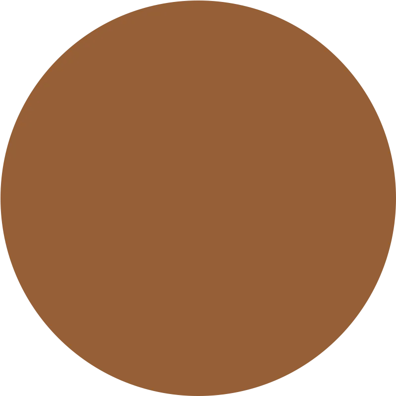 Skin Tint Serum Foundation Tan