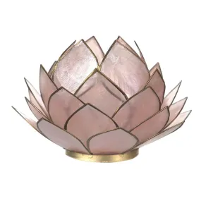 Tealight Holder Cabbage Capiz Blush